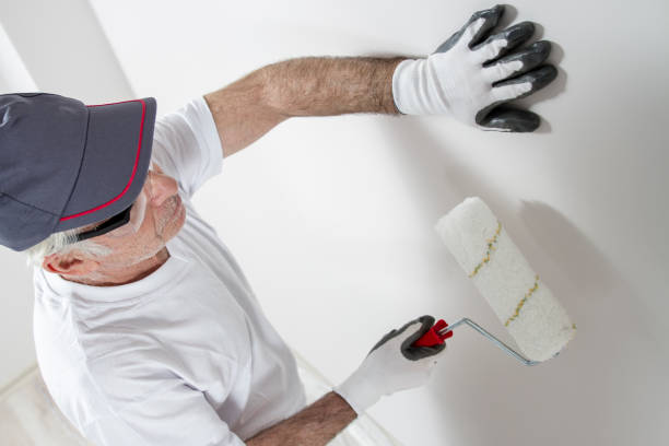 Professional Dry wall and painting in Petersburg, IL